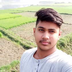 MD Rohan Profile Picture