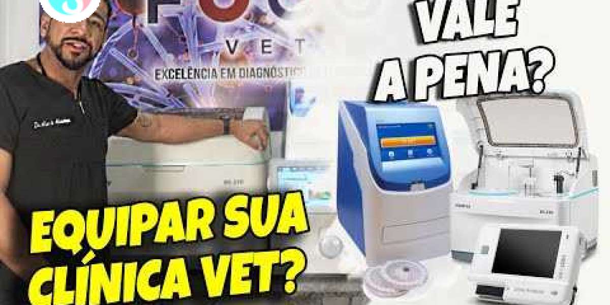 Como a Vitamina X Pode Ajudar a Controlar o Nível de Cortisol em Seu Pet